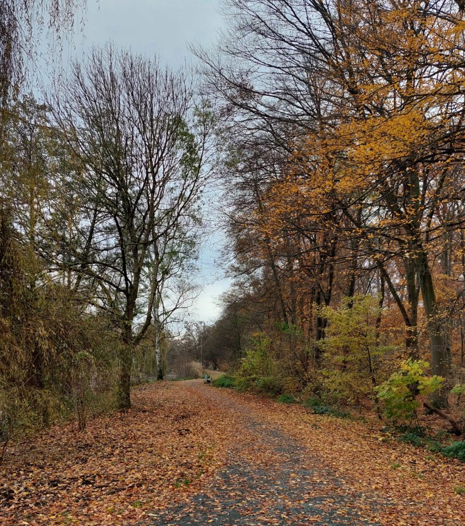 Foto von der Horlache in Rüsselsheim a.M.